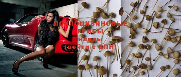 дживик Козловка
