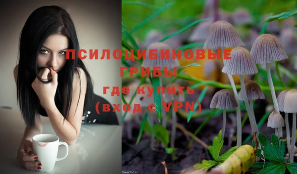 а пвп мука Кодинск