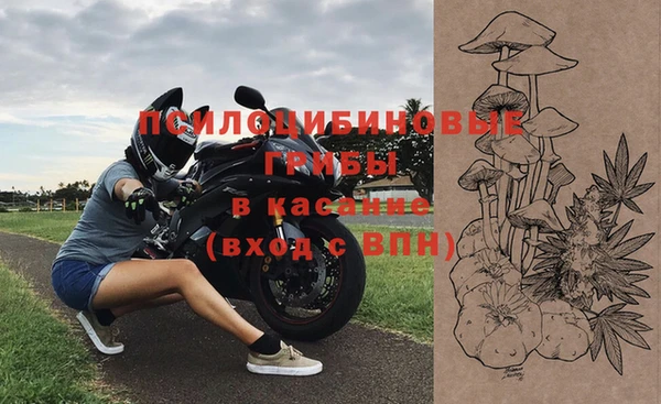 ALPHA PVP Козельск