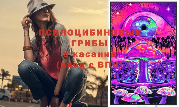 а пвп мука Кодинск