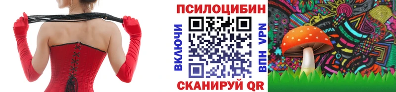 Купить  Рузаевка  Псилоцибиновые грибы прущие грибы 